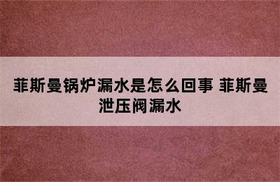 菲斯曼锅炉漏水是怎么回事 菲斯曼泄压阀漏水